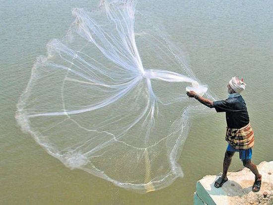Balcony Safety Nets Hyderabad